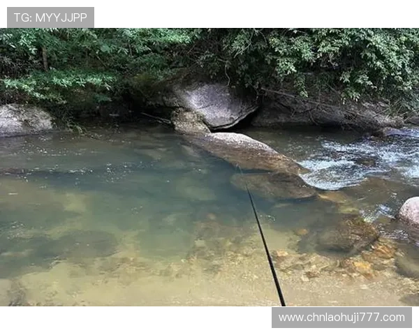 cq9捕鱼高收益攻略，教你如何在游戏中快速提升捕鱼积分和赢取大奖