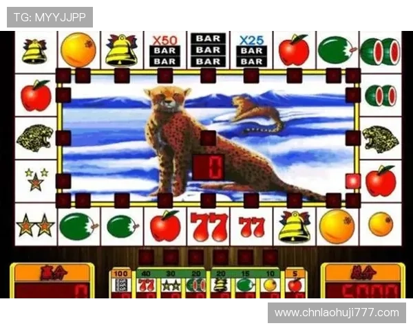 官方授权老虎机娱乐官网入口,保障您的资金安全与游戏公平性 官方授权老虎机娱乐官网入口,保障您的资金安全与游戏公平性