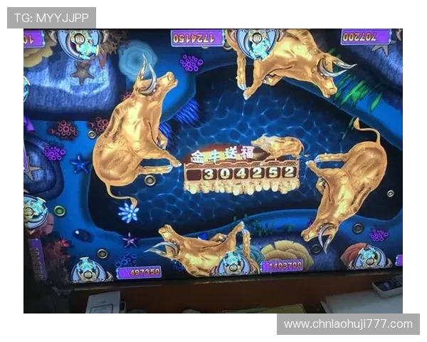 深入解析老虎机规则富贵连连让你玩转每一次游戏体验