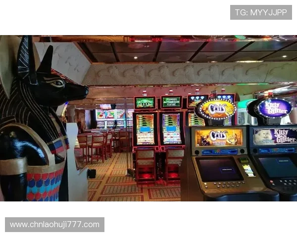 全面解析目前市场上最受欢迎的老虎机旗舰平台及其核心优势