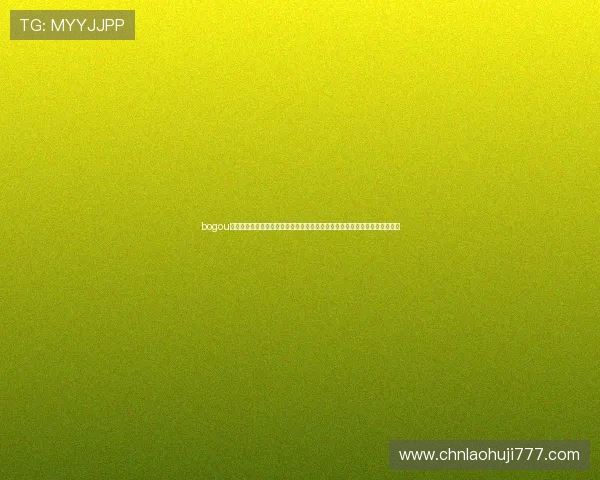 bogou电子客户服务与售后保障全面解读确保用户在购买和使用过程中享受优质支持